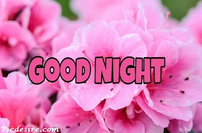 Top 101 Good Night Images || Best Good Night Images Top 101 Good Night Images || Best Good Night Images