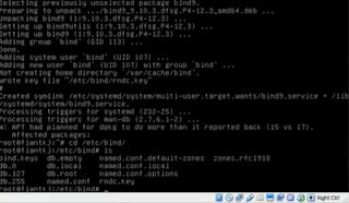 Bind named. Bind named. Bind и днс. Dns-сервер. /etc/bind/named.