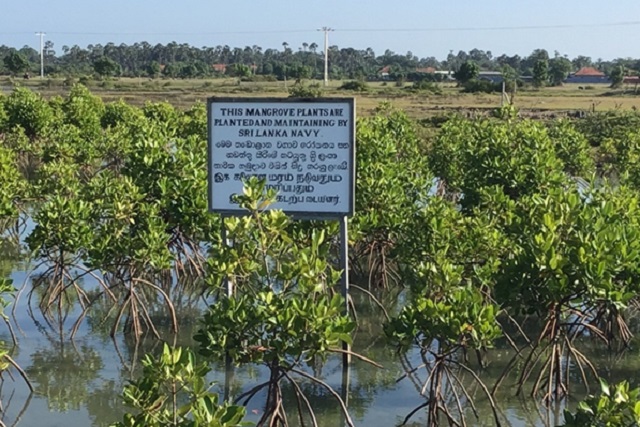 Sri Lanka: Re- foresting in North and de- foresting in South