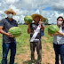 Senador Guiomard já ‘exportou’ 120 toneladas de melancia este ano