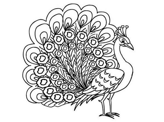 mewarnai gambar burung mewarnai gambar burung