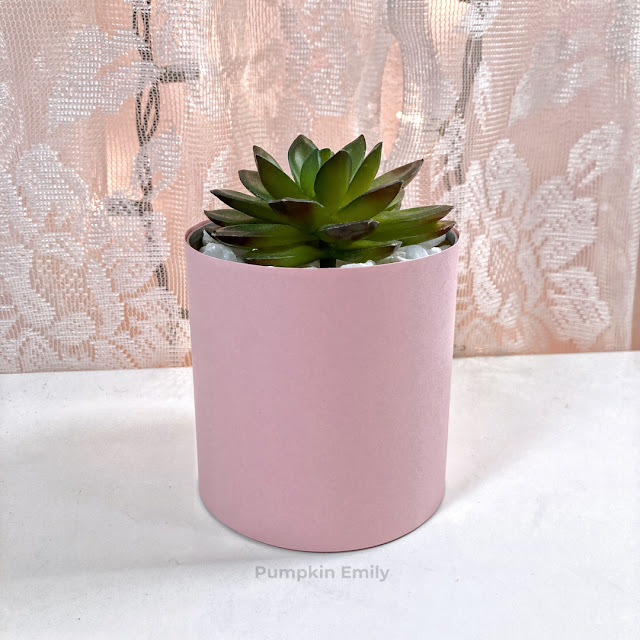 A pink tin can planter with a succulent in it.