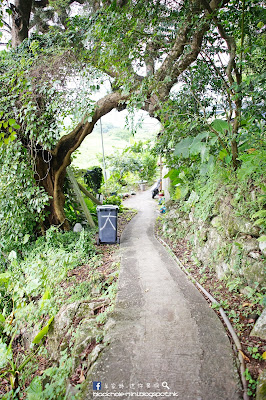 大埔 懷仁街 林村 大菴村 家品店 a Beautiful store 大埔 懷仁街 林村 大菴村 家品店 a Beautiful store