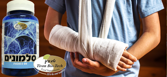 אתר ויטמין טבעון ביוטק שבר בעצם