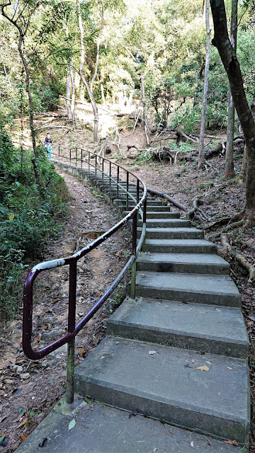 鹿頸吊燈籠徑