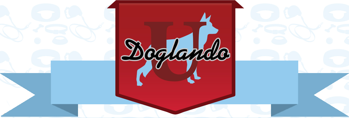 The Doglando Blog : Orlando Dog Grooming | Orlando Dog Training | Dog Day Care Orlando