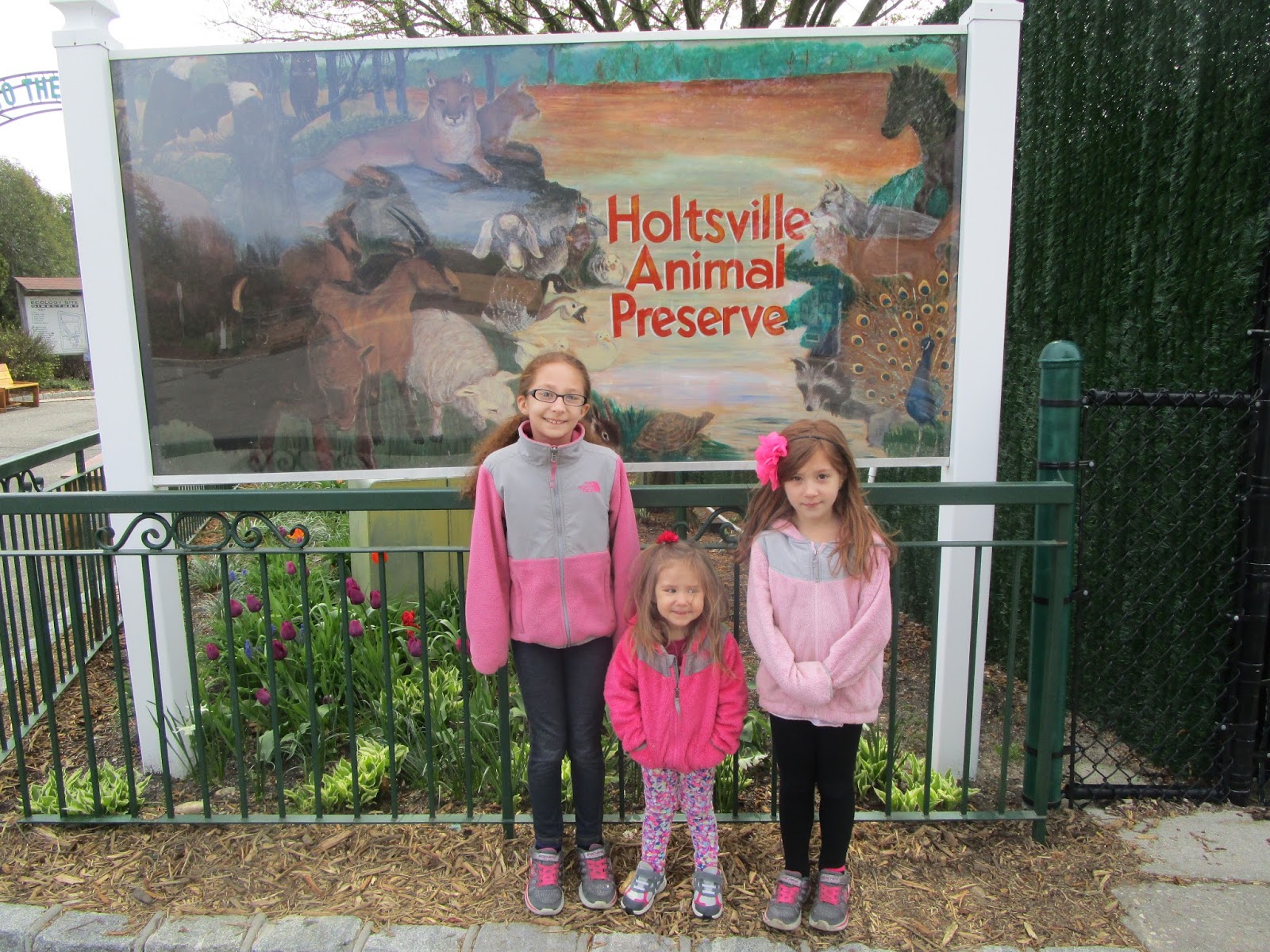 A Mommy's Adventures Family Field Trip Fun The Holtsville Ecology Center