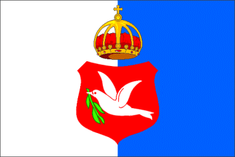 File:Garde du drapeau du 22e BIMa novembre 2008.GIF - Wikipedia
