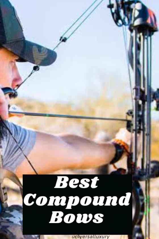 5 Best Compound Bows for Hunting 2022 Most are Under 400