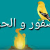 الحكاية 10 العصفور و الحريق المفيد في اللغة العربية المستوى الأول الحكاية 10 العصفور و الحريق المفيد في اللغة العربية المستوى الأول
