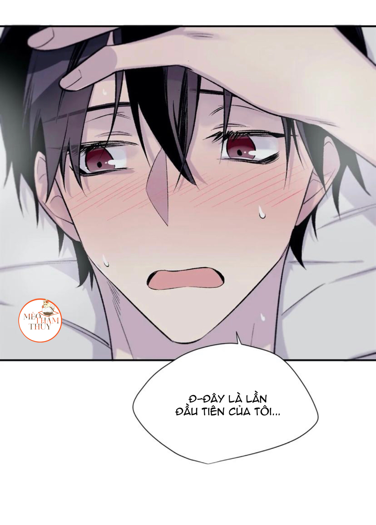 Đừng Viết Nữa, Tác Giả Thân Mến! Chapter 19 - Trang 20