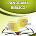 Livro Panorama
