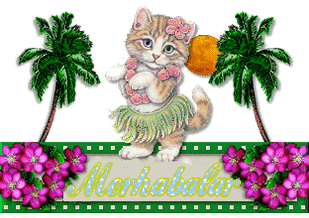 hoÅçakalin gif ile ilgili görsel sonucu