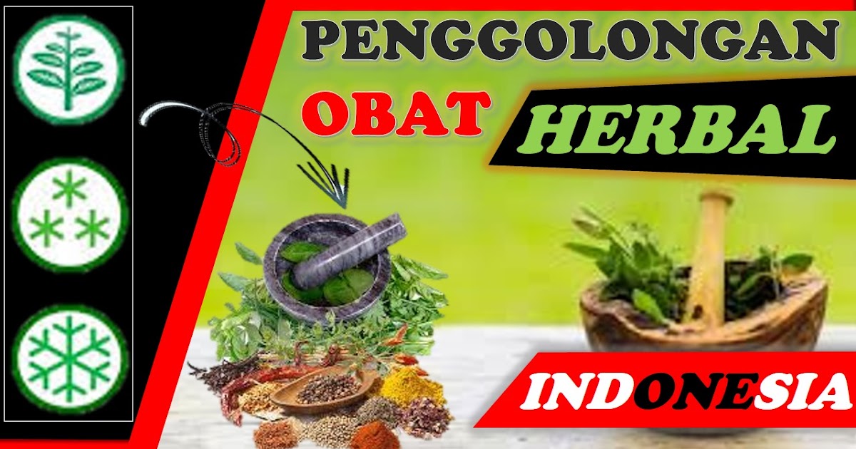 Penggolongan Obat Herbal Obat Bahan Alam Di Indonesia Hadi Kurniawan