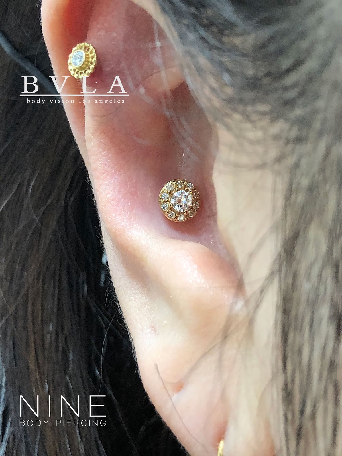 NINE BODY PIERCING BLOG Conch with BVLA Yellow Gold Altura!!! アルトゥーラ