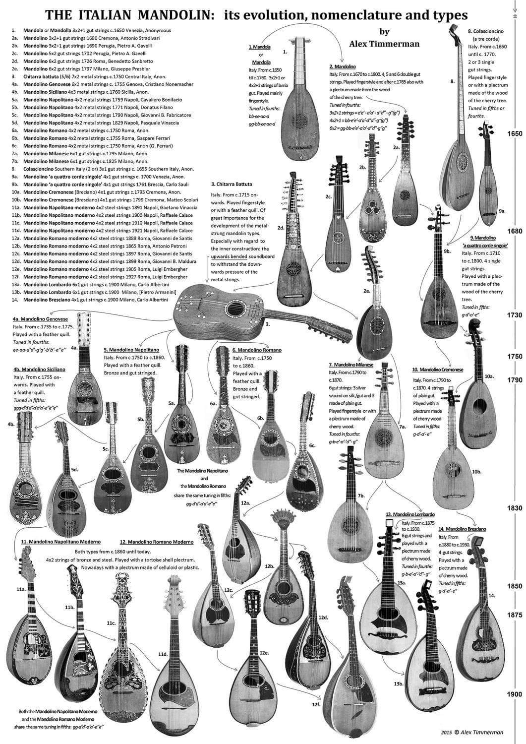 INSTRUMUNDO Instrumentos Musicales Mandolina Napolitana, Mandolin