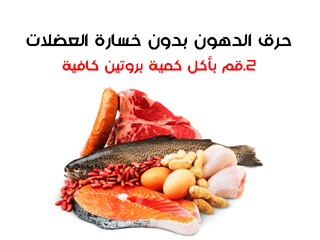حرق الدهون بدون خسارة العضلات حرق الدهون بدون خسارة العضلات