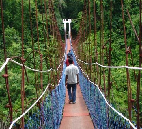 Taman Negara Kelantan,National Park Kuala Koh, Kelantan ~ Travel Hikers