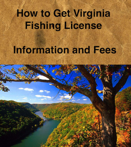 How to Get Virginia Fishing License