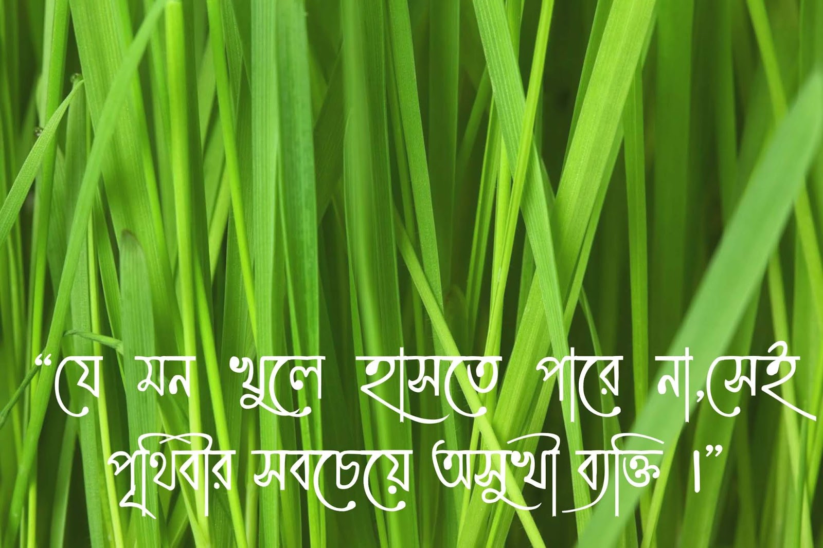 Bengali quotes on smile