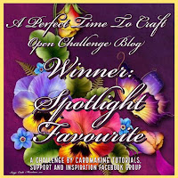 Spotlight Winner Favorite at A Perfect Time To Craft Challenge Blog