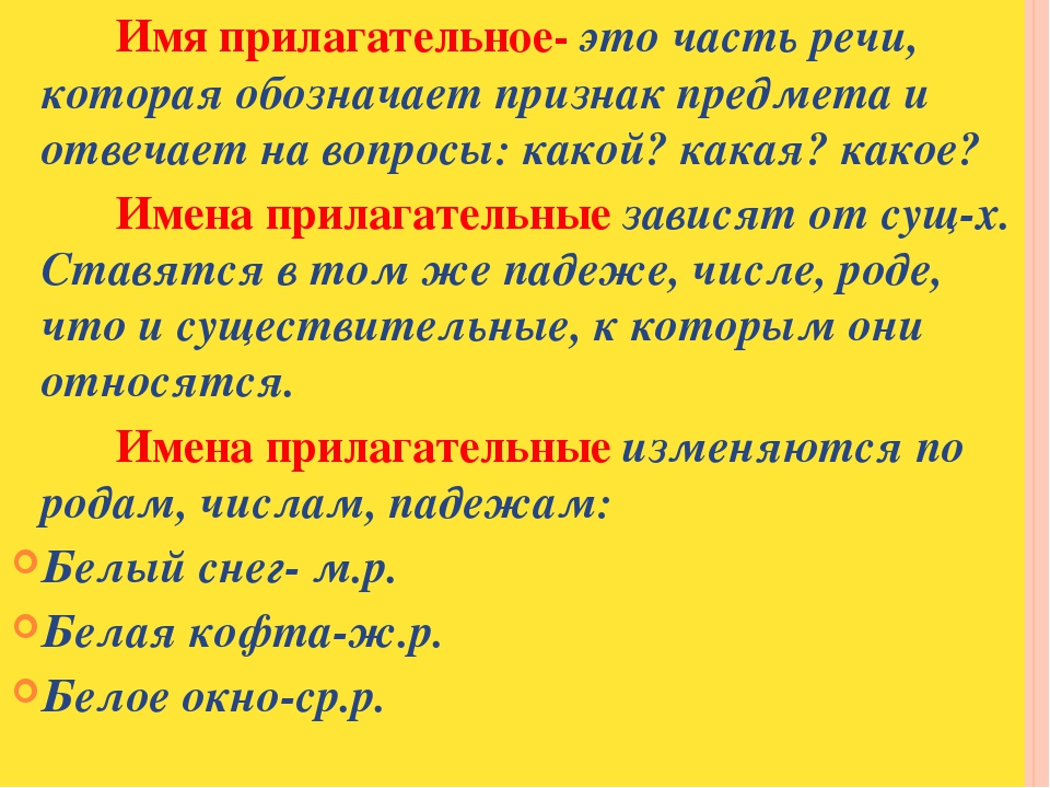 Какие утверждения об имени прилагательном