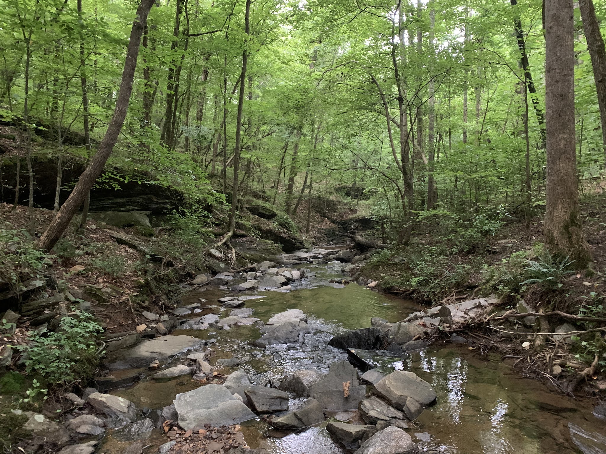 Weekend Wanderluster Mulberry Creek from Hyde Farm (Cobb County,
