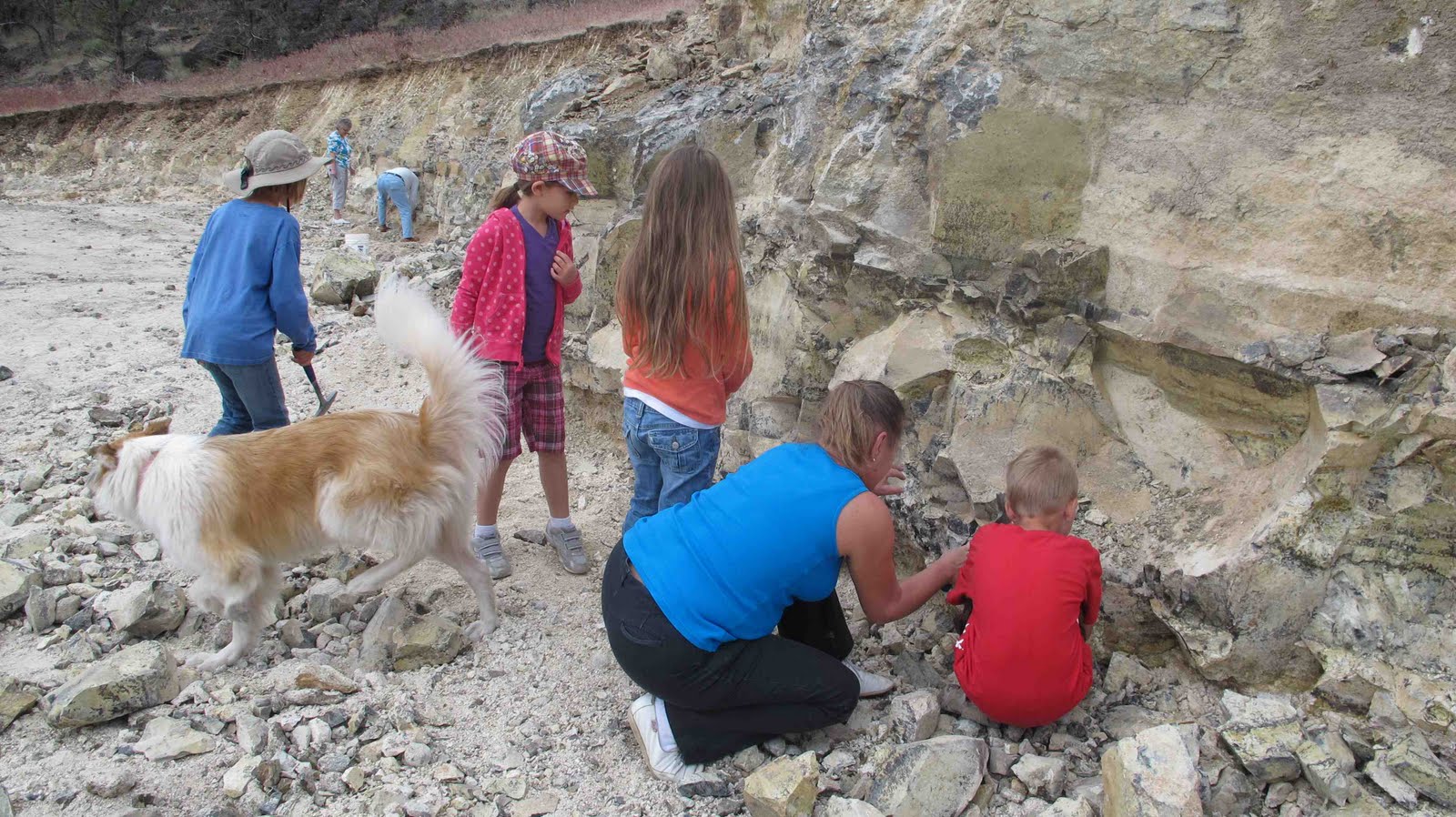 Richardson’s Rock Ranch - Eva Varga