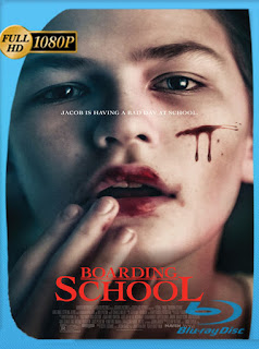 El Internado (2018) HD [1080p] Latino [GoogleDrive] SXGO