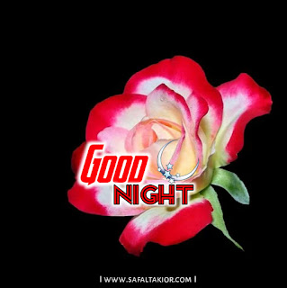 flower rose gif good night images