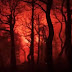 Φωτιά Βίλια: Μάχη με τις φλόγες για δεύτερη νύχτα - Καίγεται η κορυφογραμμή του Όρους Πατέρα