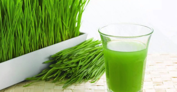 Arugampul juice benefits in tamil Clearance