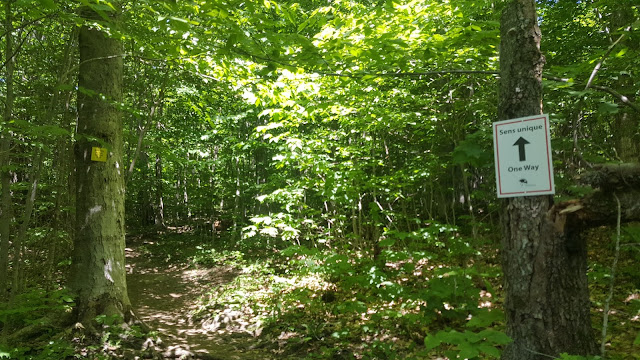 Sentier en direction vers le Round Top (mont Sutton)