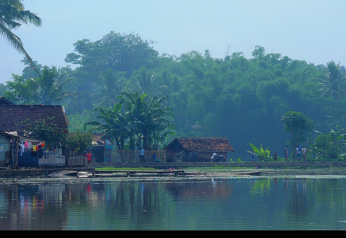 Medio Ambiente. Que problema!: Hombre de Java