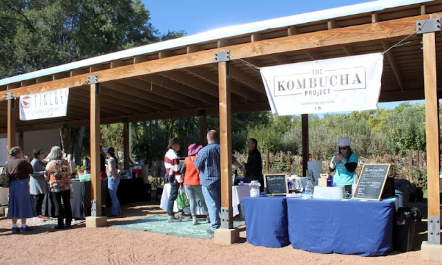 The Kombucha Project