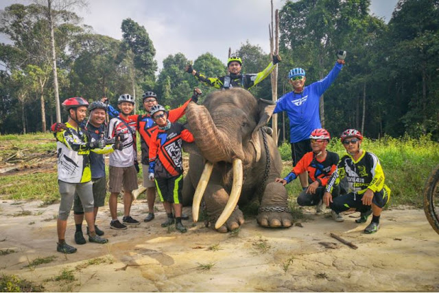 Taman Hutan Raya Sultan Syarif Hasyim