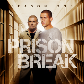 PRISON BREAK (a review on Netflix series)