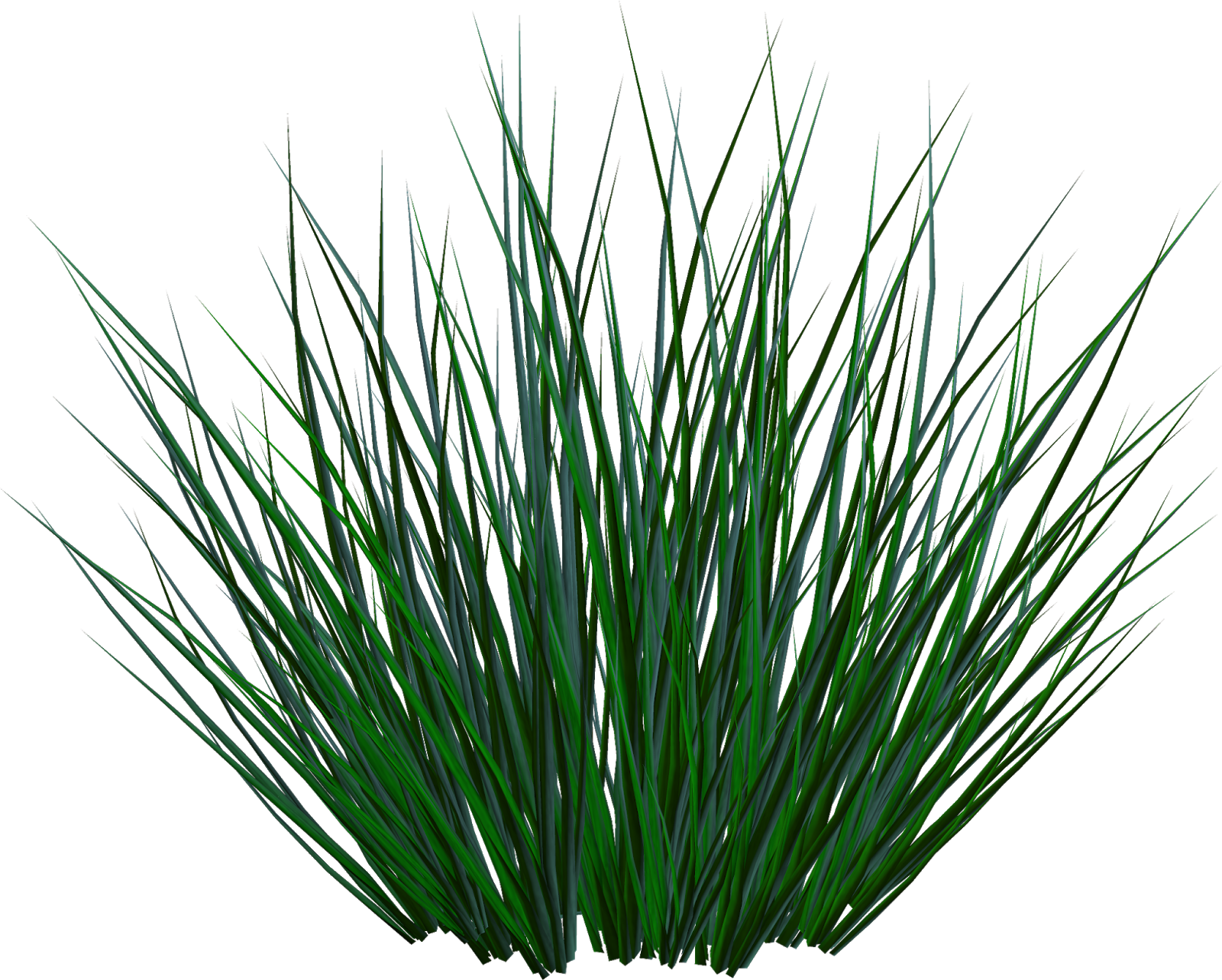 растения на прозрачном фоне. осока дернистая. трава сбоку png. Bush green растение. пучок травы.