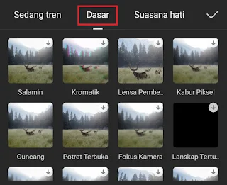 choose basic effect category