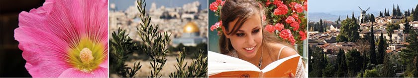 Study abroad in Jerusalem