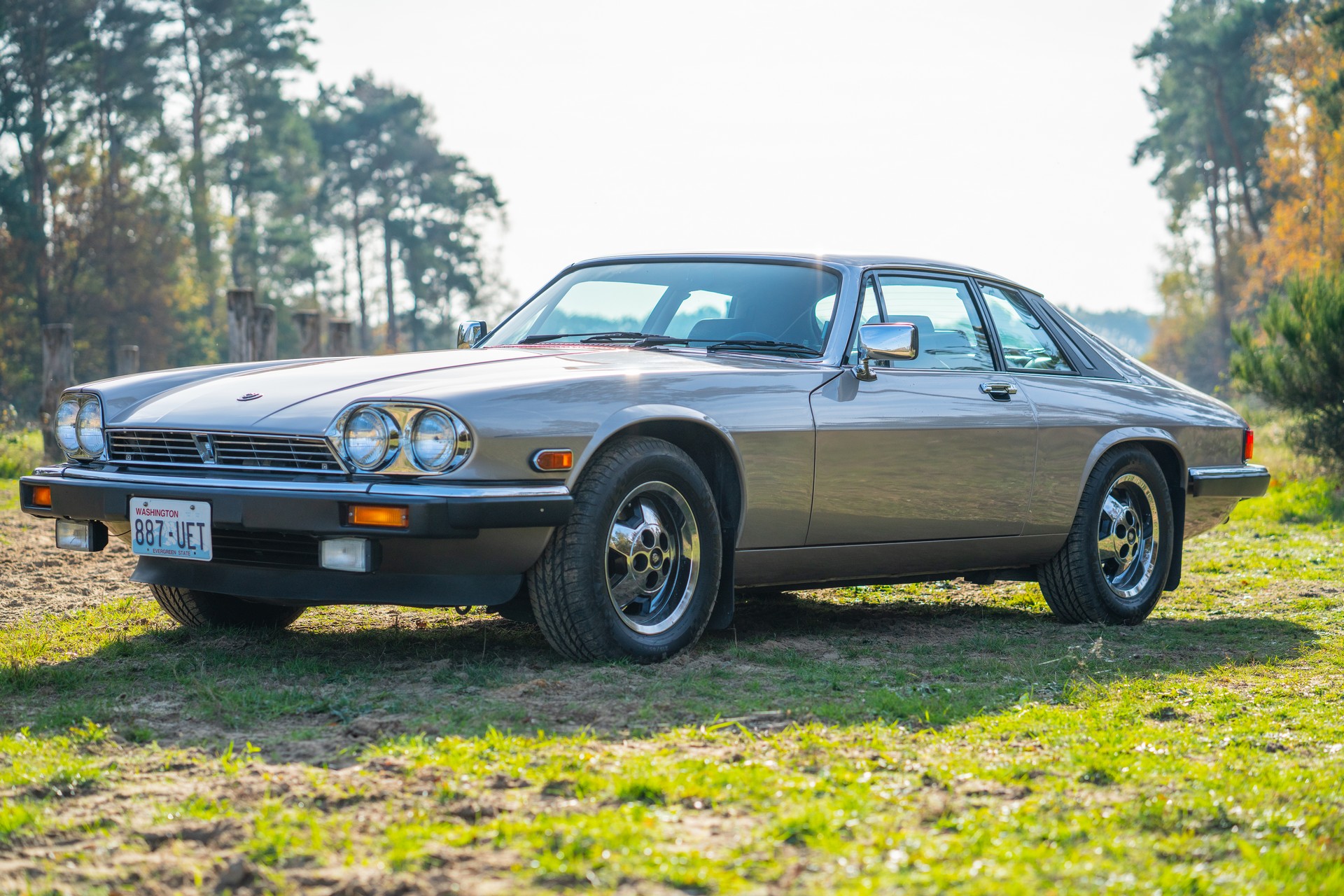 Jaguar XJS v12