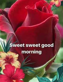 good morning flower images free download for whatsapp
