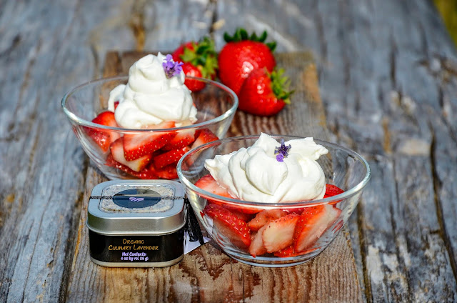 Summer Strawberries Dessert with Organic Lavender Whipped Cream