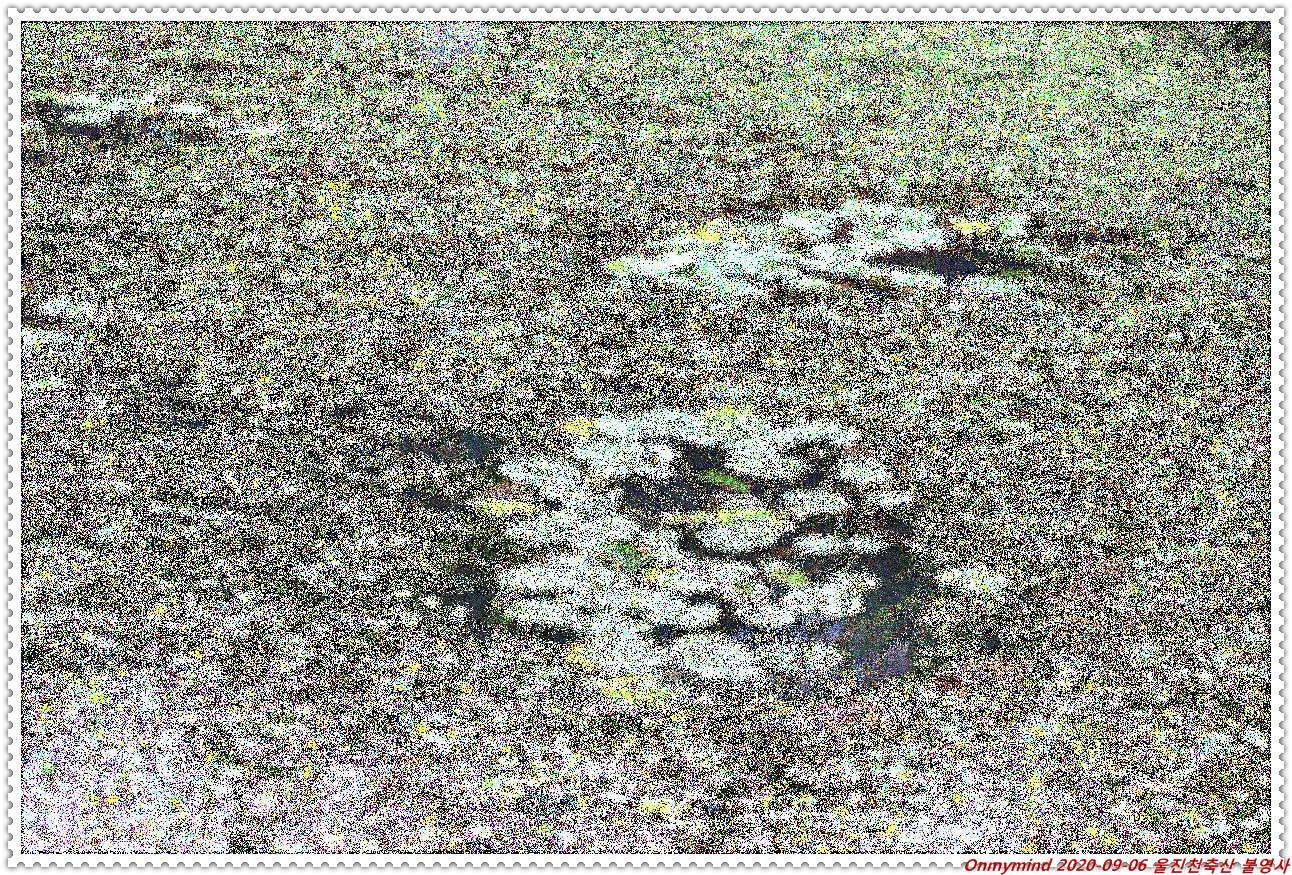 천축산 불영사 천축산 불영사