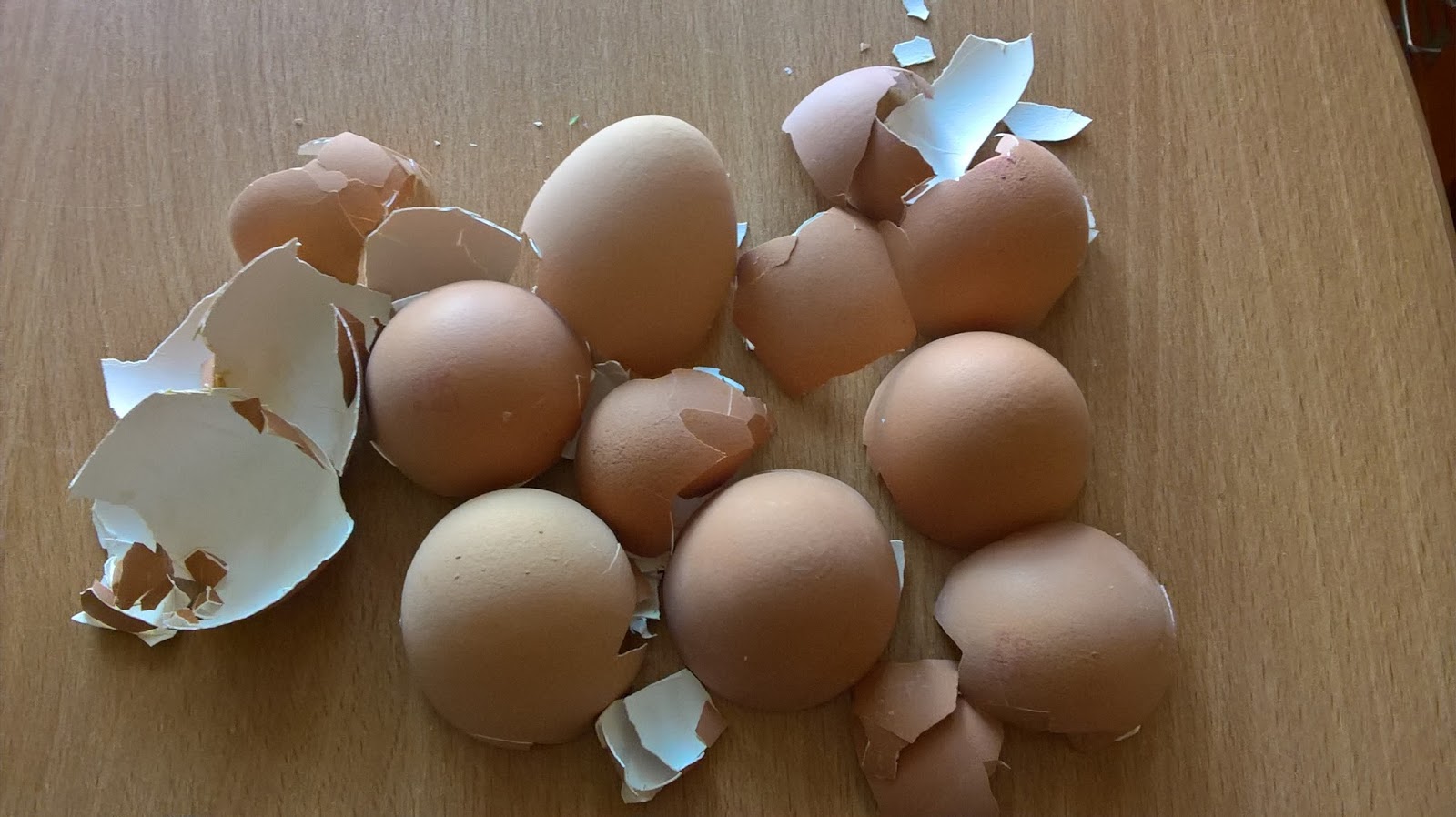 The Only Way Productions How to make homemade calcium Using Egg Shells