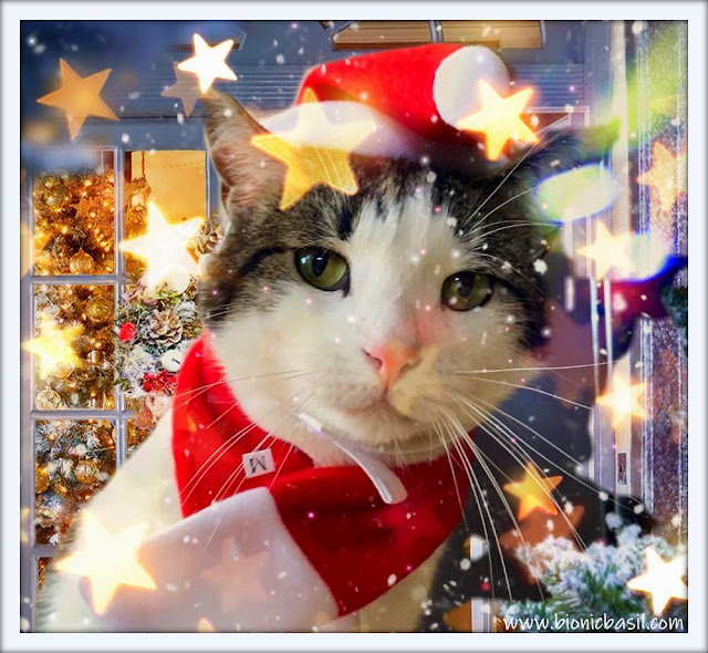 Meowy Catmas from The B Team ©BionicBasil® Melvyn
