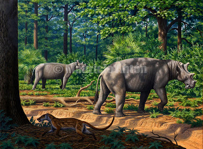 extinct animals Dinocerata Uintatherium
