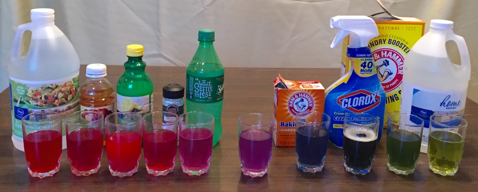 Jen's Library Tales Magic Cabbage Juice STEAM Program