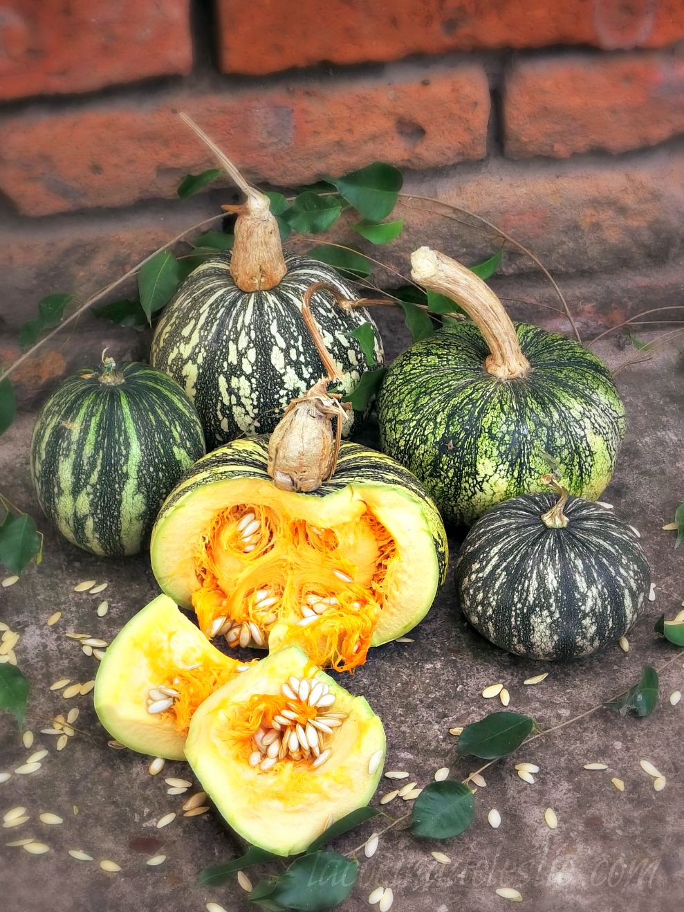 Pumpkin 101 How to Make Homemade Pumpkin Puree, Calabaza