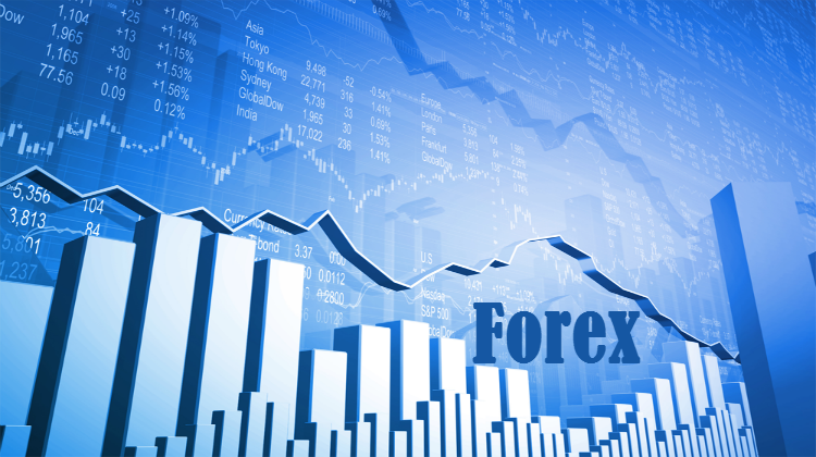 forex.in review